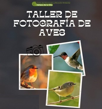 Taller de fotografía de aves