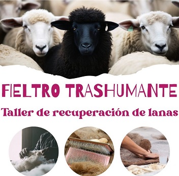 Fieltro Trashumante. Taller de recuperación de lanas