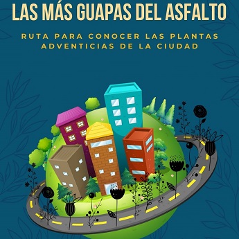 Las m&aacute;s guapas del asfalto