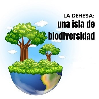 Ruta: La Dehesa. Una isla de biodiversidad