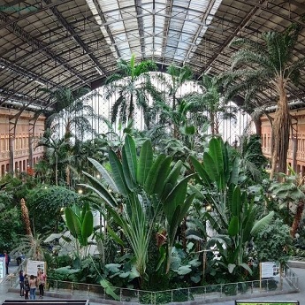 Jardines escondidos: De Ópera a Atocha