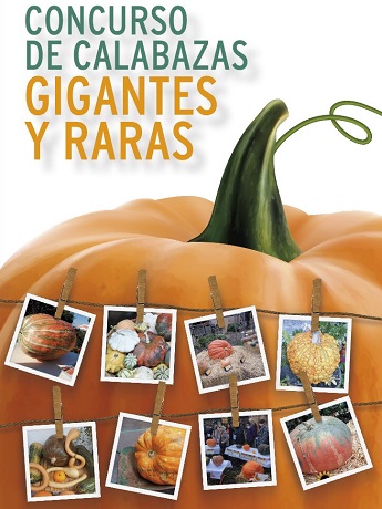 Imagen del concurso de calabazas de la Fiesta de la Calabaza