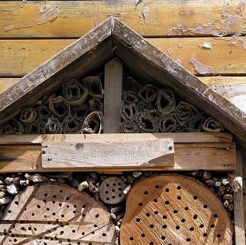 Taller de Hotel de insectos