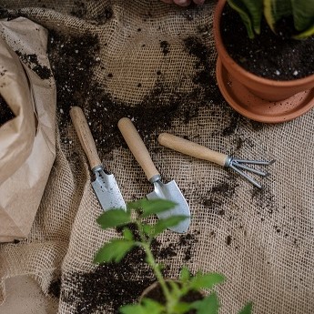 Taller: Monta tu huerto ecológico en un recipiente