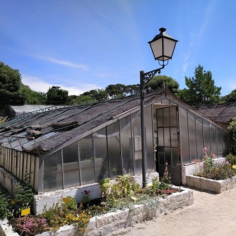 Vivero de Estufas del Retiro