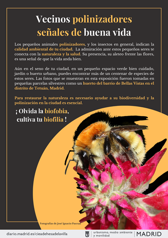 Life 4 Pollinators: Salva los polinizadores de tu ciudad