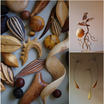 Semillas eternas, madera viva