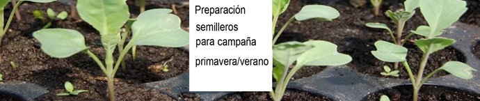 Imagen de la actividad de preparación de semilleros para la campaña de primavera/verano en el Huerto Urbano Comunitario Alameda de Osuna