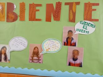 comit&eacute; y rinc&oacute;n ambiental