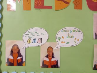 comit&eacute; y rinc&oacute;n ambiental