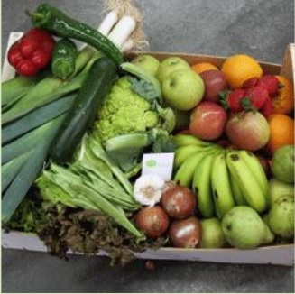 Cesta de frutas y verduras