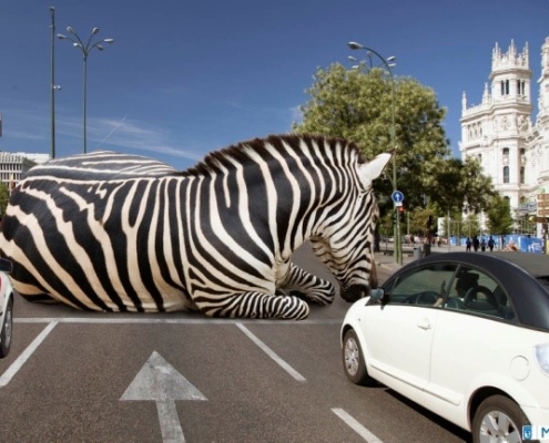 Imagen expo madrid me mueve