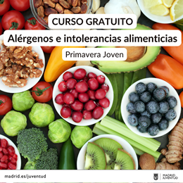 Curso Al&eacute;rgenos