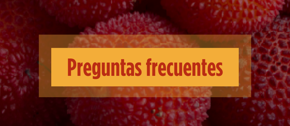 Imagen Preguntas frecuentes