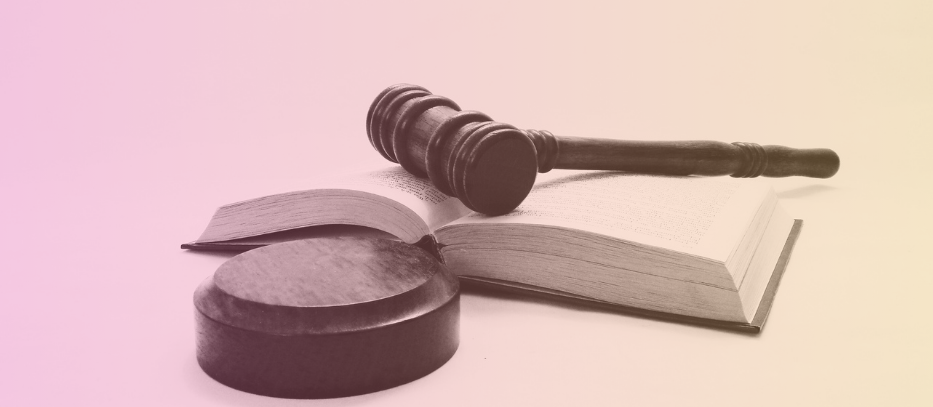 Asesor&iacute;a Juridica  capitulos