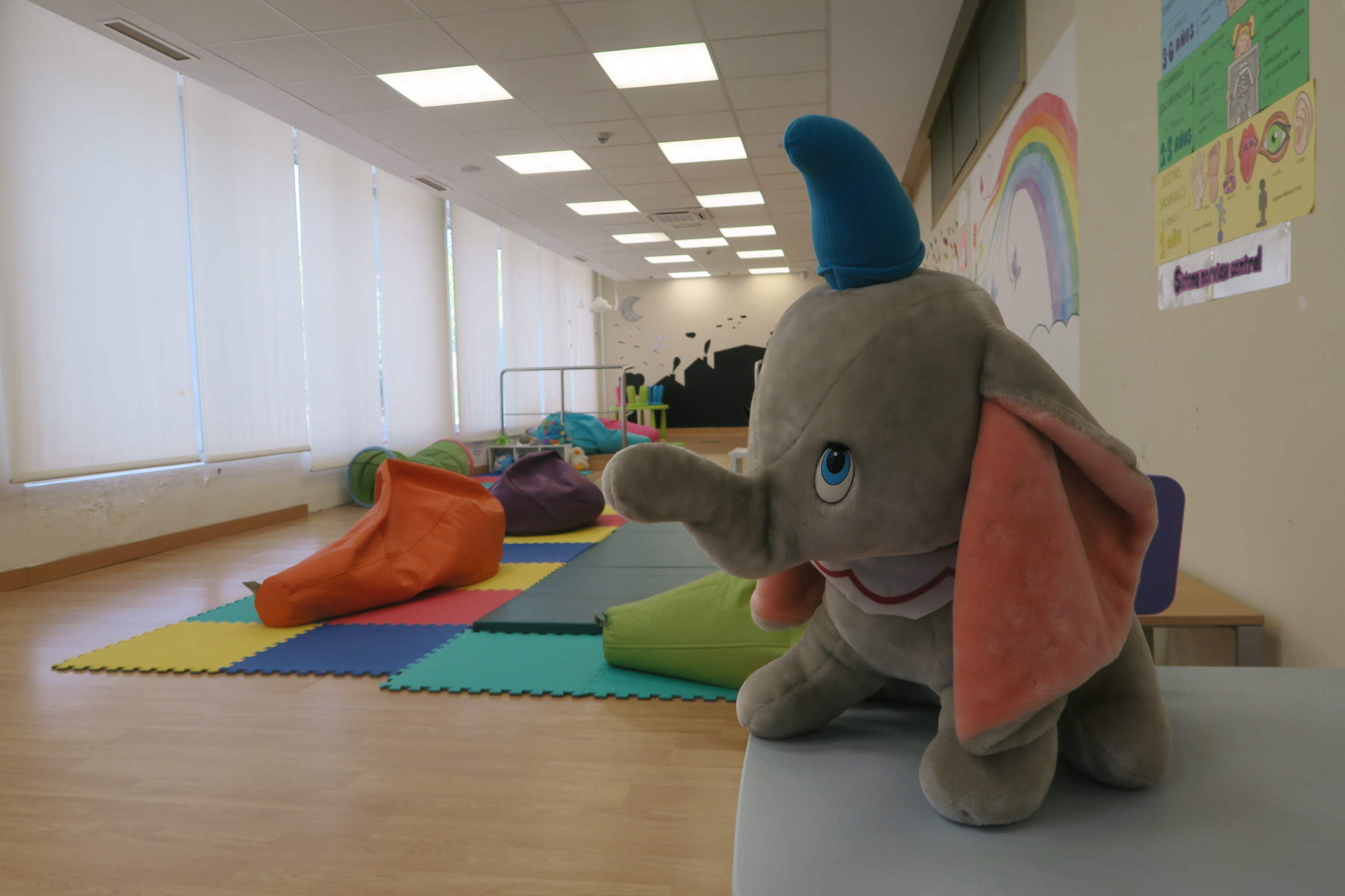 FOTO LISTADO COMO FUNCIONA