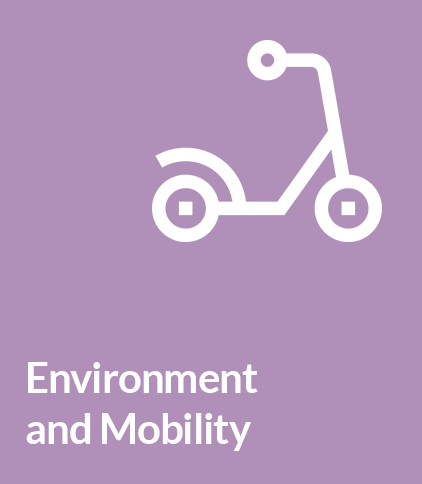 Environment and Mobility