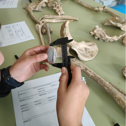 Taller de Arqueología: 'El laboratorio del pasado' | Semana de la Ciencia 2026