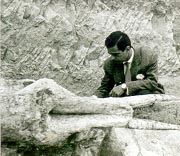 Excavación del mastodonte de Mirasierra.