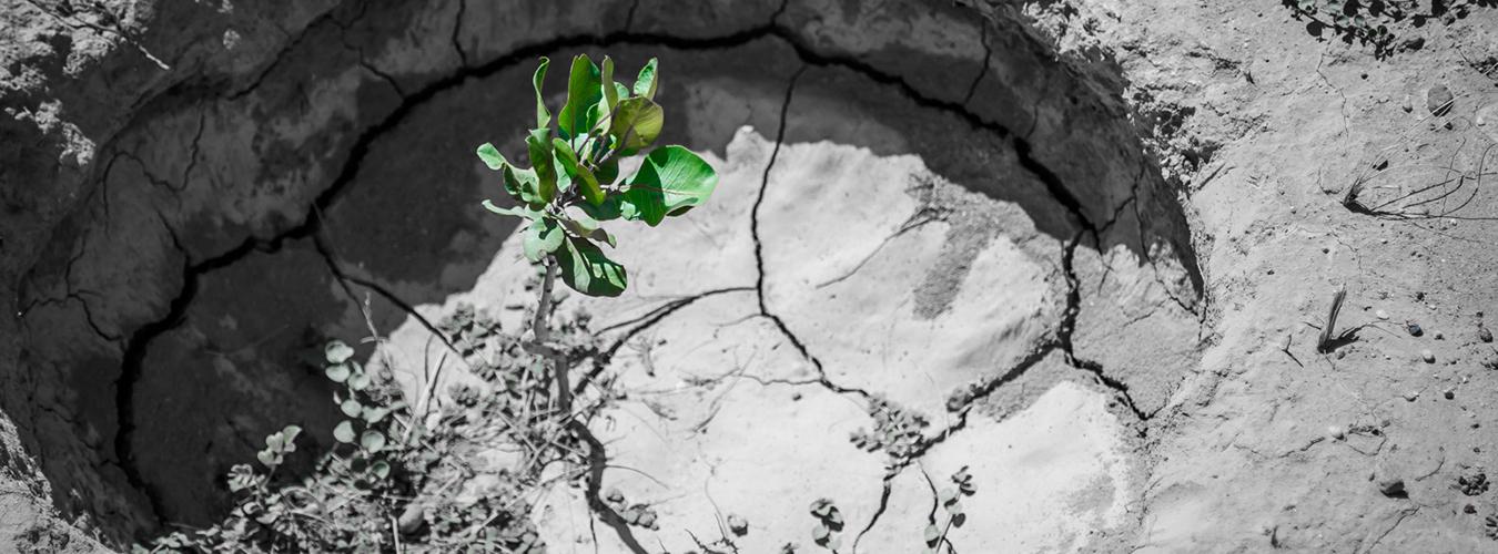 Los proyectos del PNUD ayudan a las personas a adaptarse al cambio clim&aacute;tico, llevando energ&iacute;a limpia a las zonas rurales, prepar&aacute;ndose para desastres naturales y conservando la biodiversidad. PNUD / S. Omer Sadaat