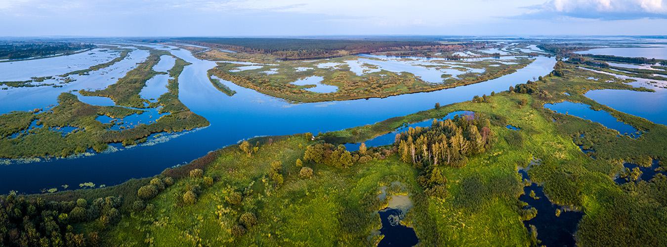 Vista aérea del río Kama y sus humedales, Rusia. FOTO:Dudarev Mikhail/Adobe Stock