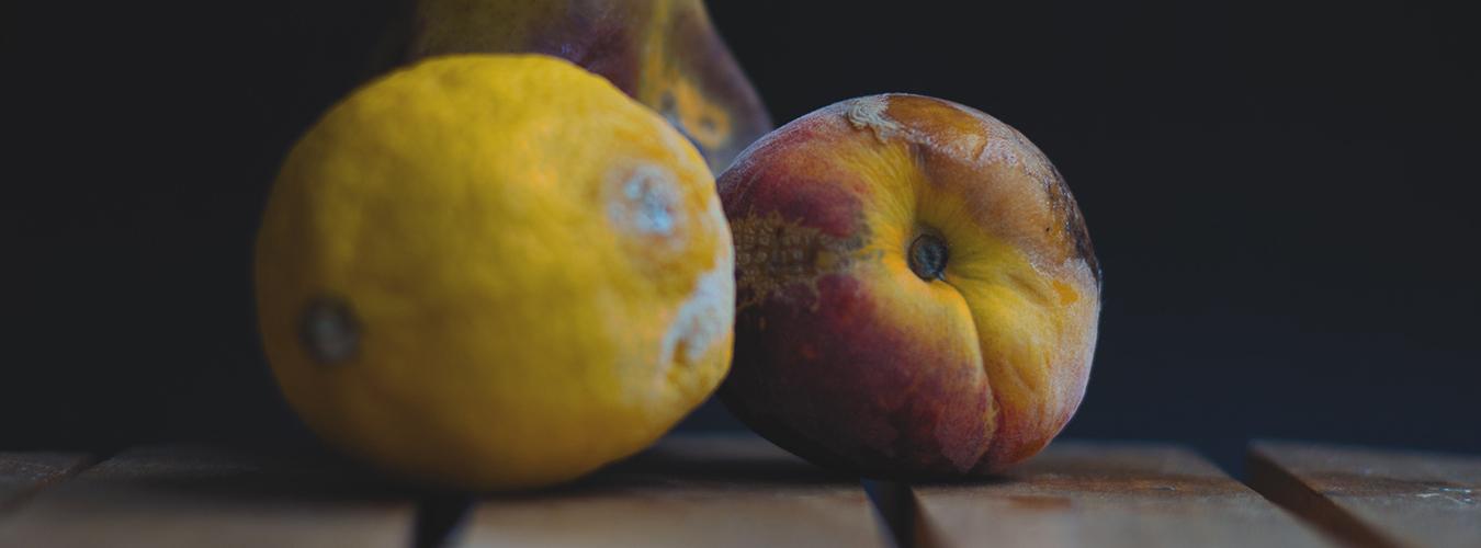 Si pudi&eacute;ramos ahorrar un cuarto de los alimentos actualmente perdidos o desperdiciados, podr&iacute;amos alimentar a 870 millones de personas hambrientas en todo el mundo. @Anita Jankovic / Unsplash.