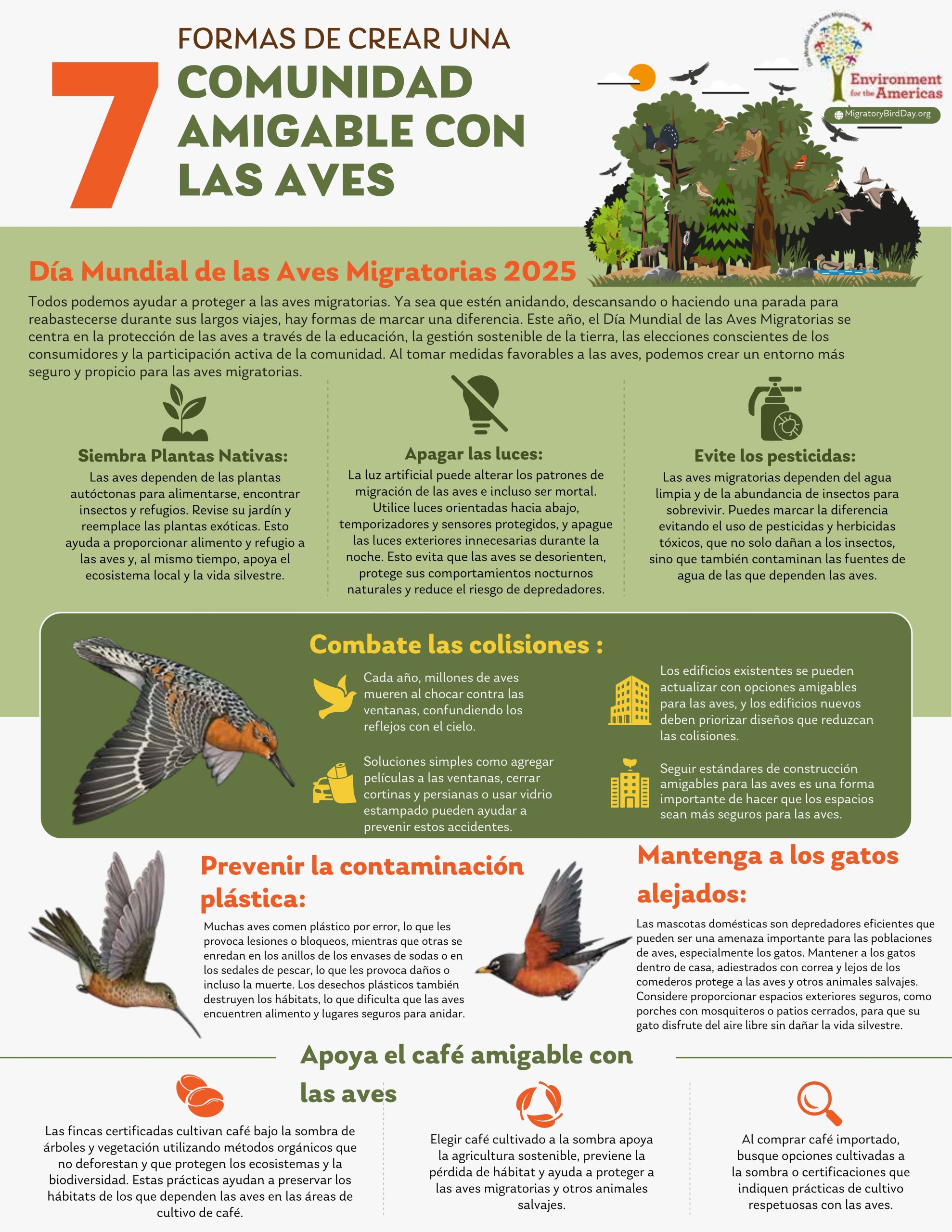 Día Mundial de las Aves Migratorias 2025 - Compartir espacios: Crear ciudades y comunidades amigables con las aves