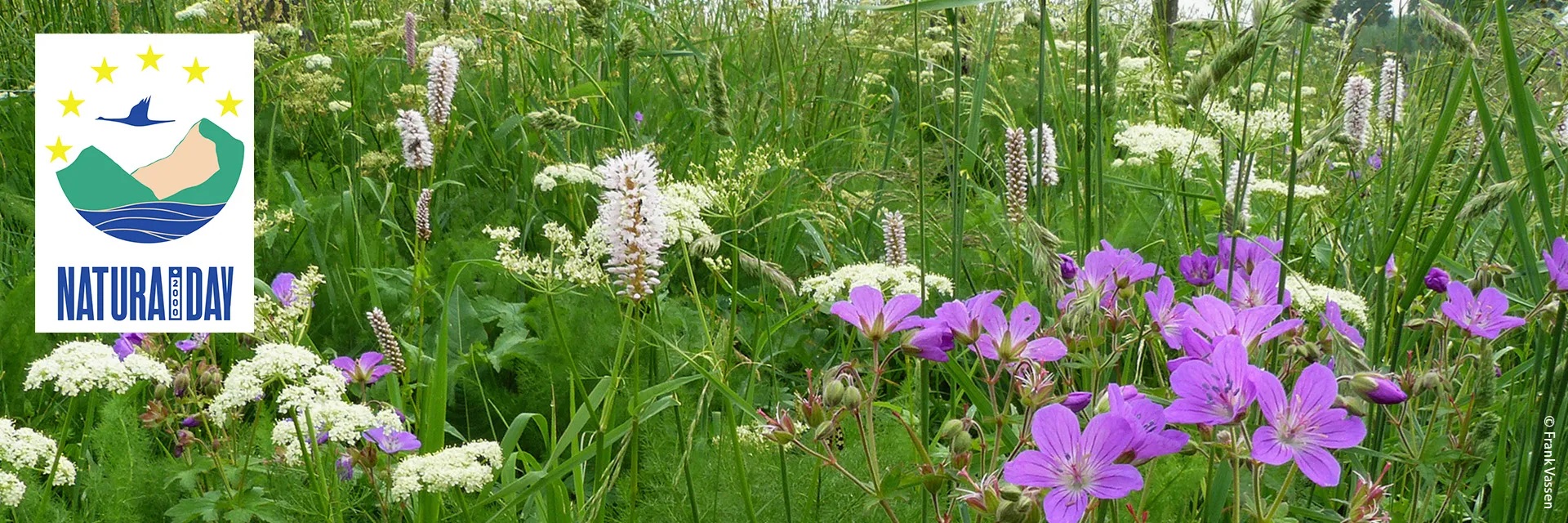 The European Natura 2000