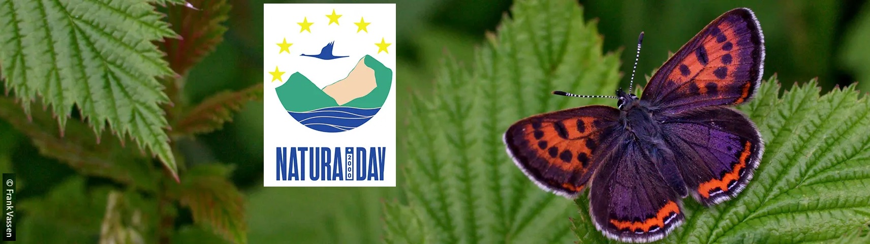 The European Natura 2000