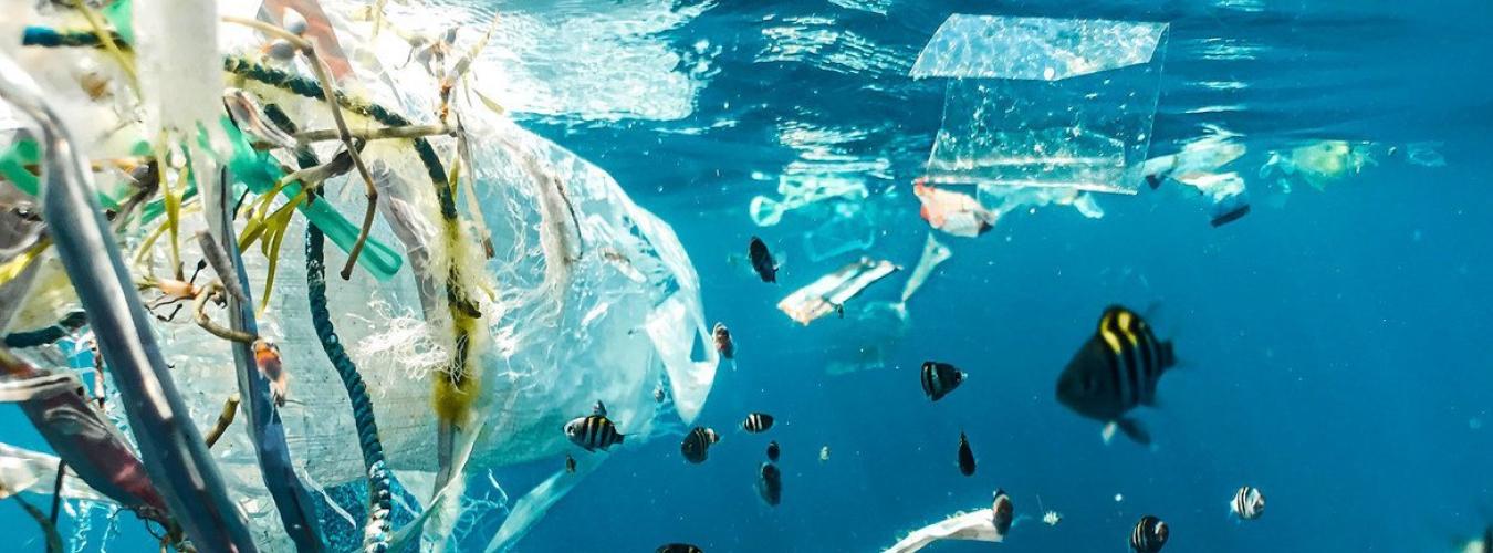 Los desechos marinos, incluidos plásticos, papel, madera, metal y otros materiales manufacturados se encuentran en playas de todo el mundo y en todas las profundidades del océano. Foto:©Unsplash/Naja Bertolt Jensen