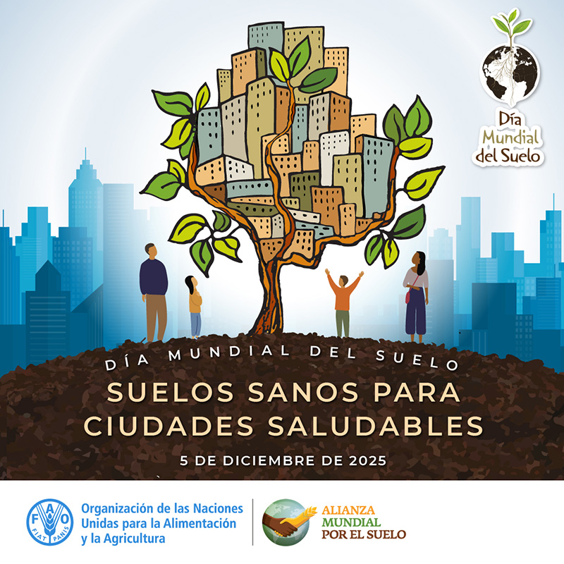 Día mundial del suelo