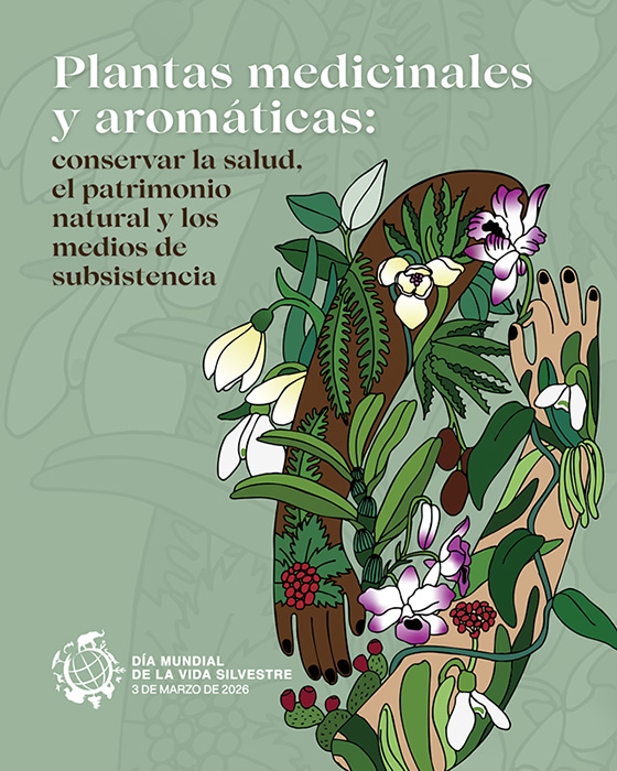 Logo D&iacute;a Mundial de la Vida Silvestre, 3 de marzo 2025