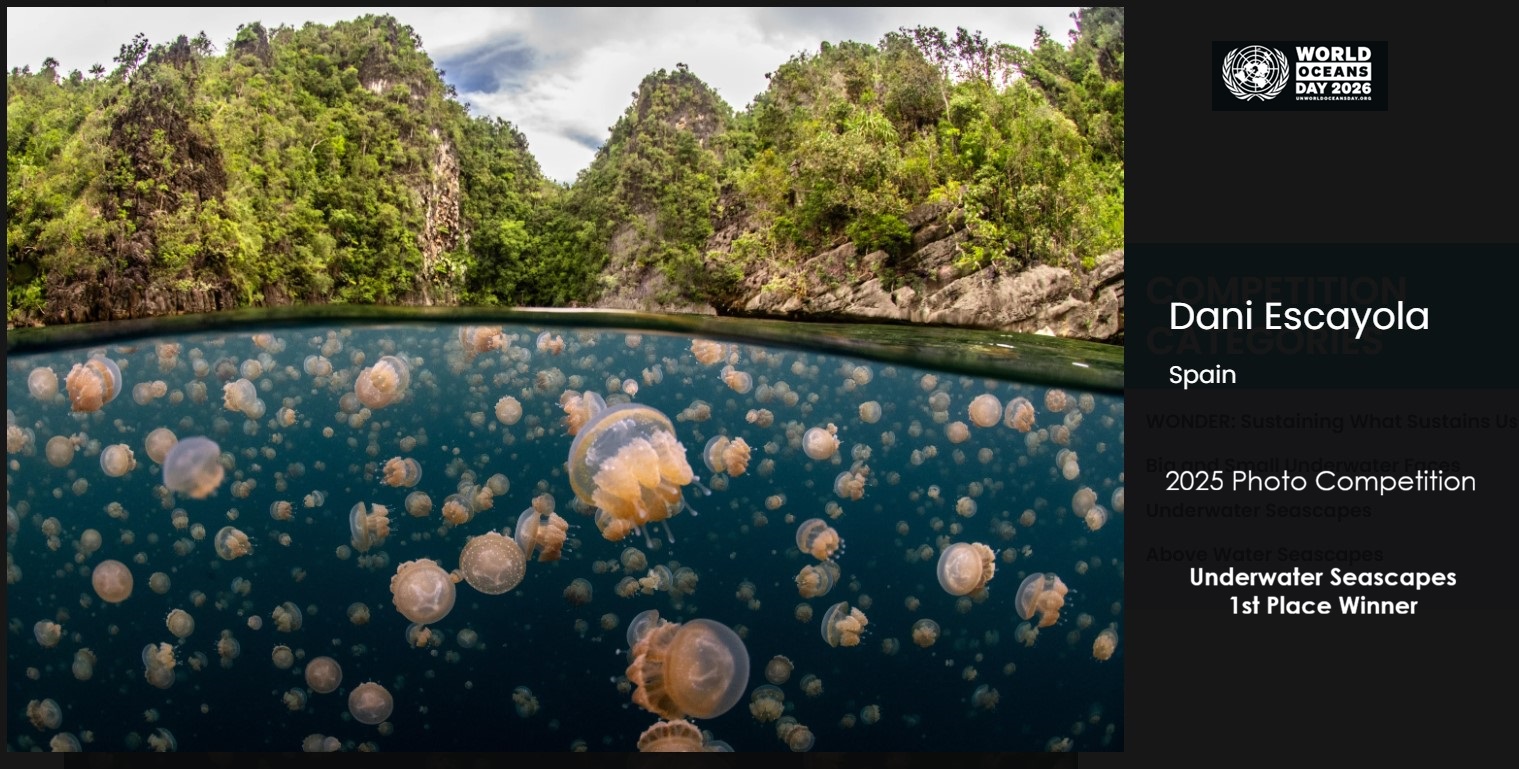 Imagen de Dani Escayola (Spain 2025), Underwater Seascapes 1st Place Winner