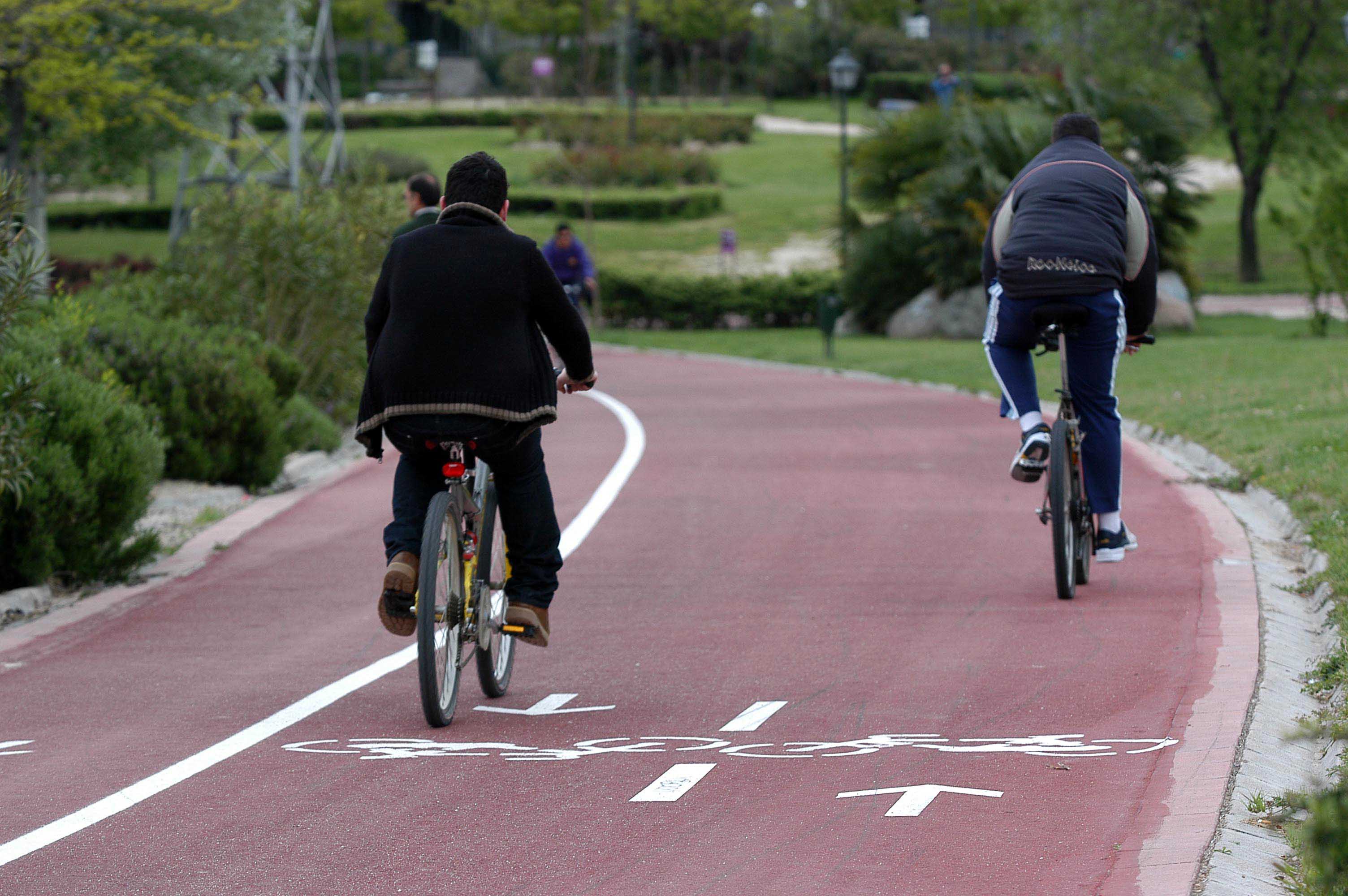 Tramo de carril bici en Madrid (archivo)