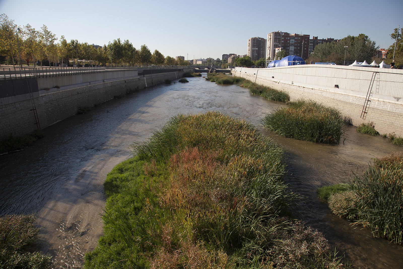 Plan de renaturalización del río Manzanares. Visita 20 de sept 2016 (Foto 22)