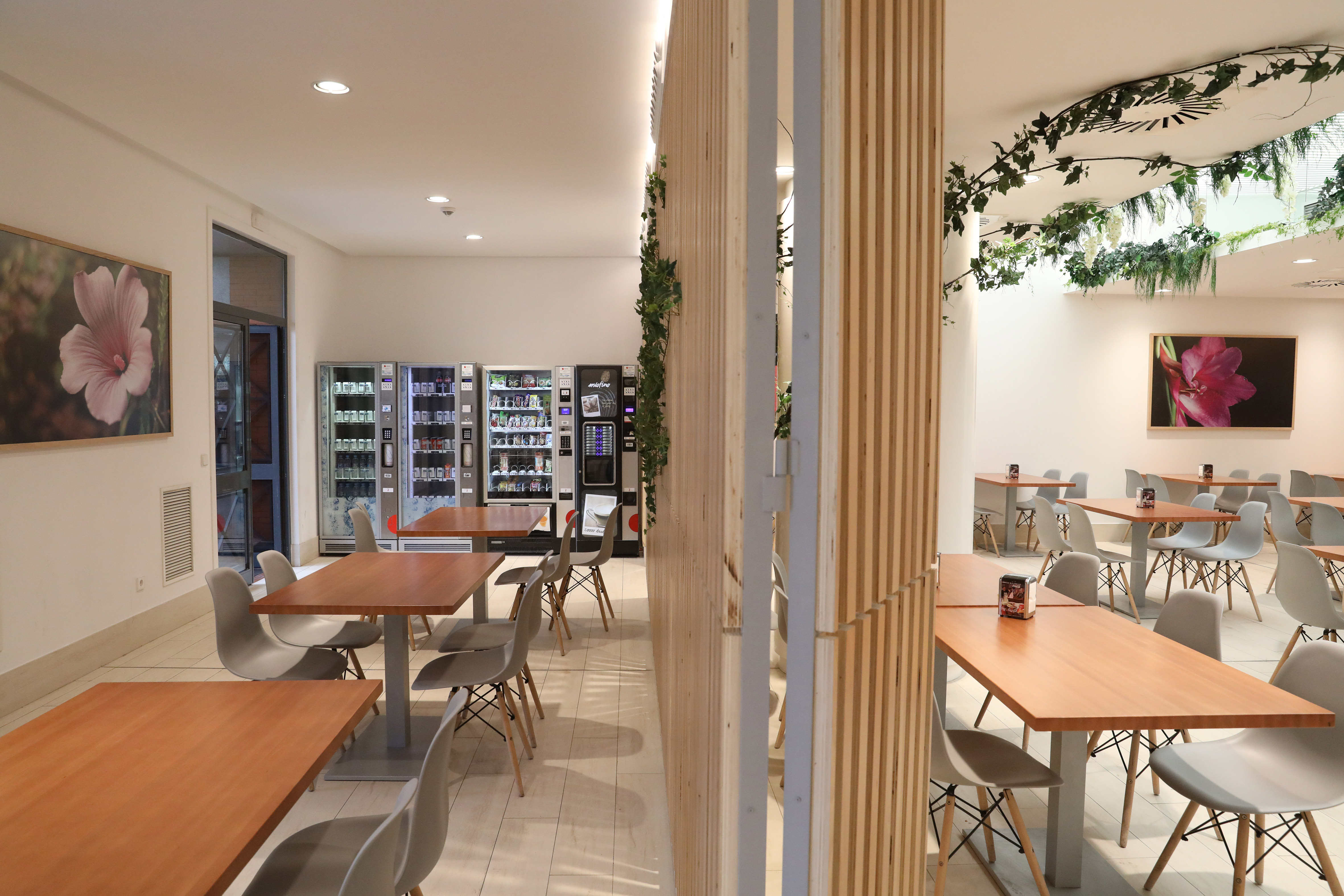 Reforma Tanatorio Sur