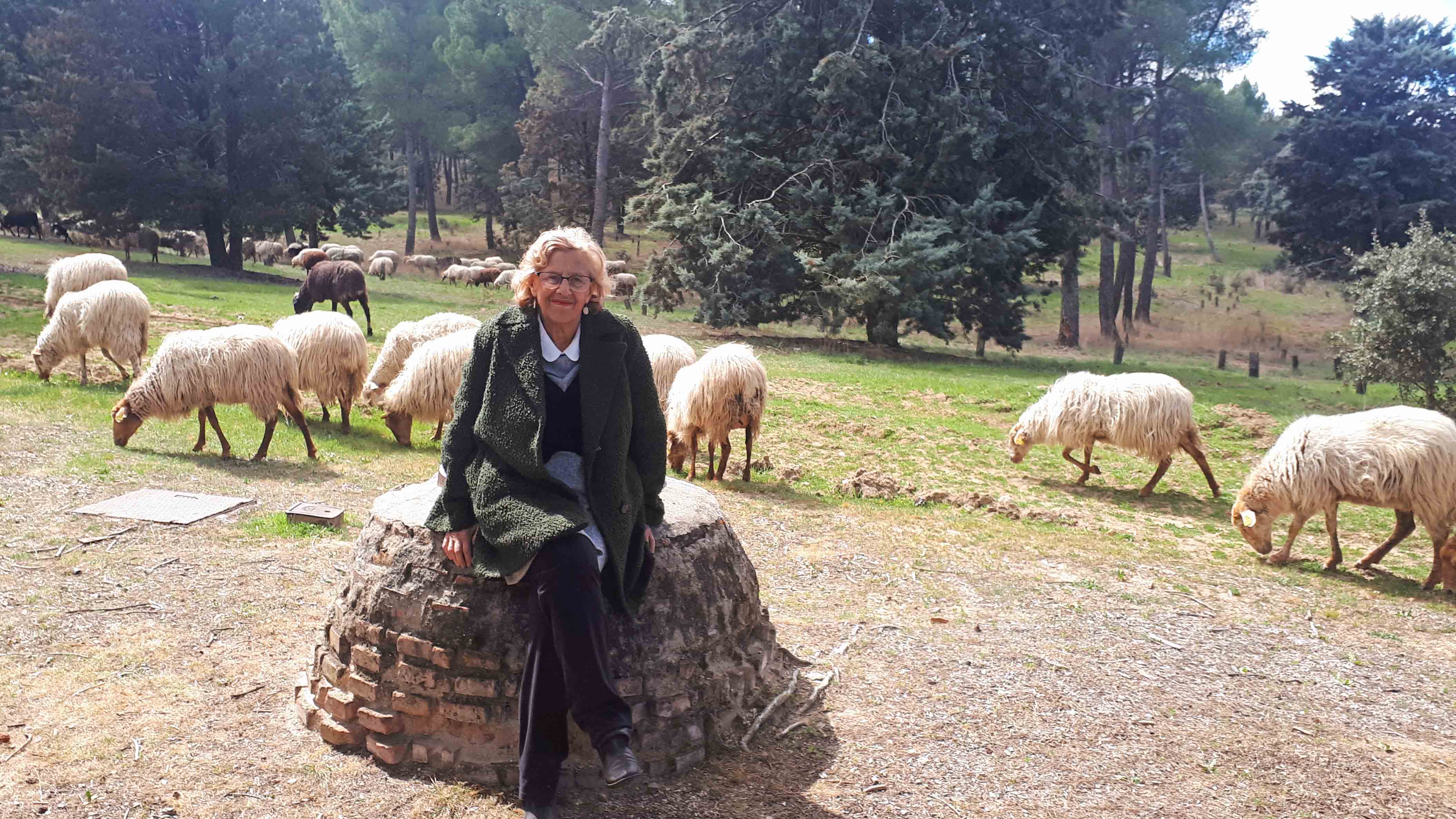 Foto cedida por Ayuntamiento de Madrid