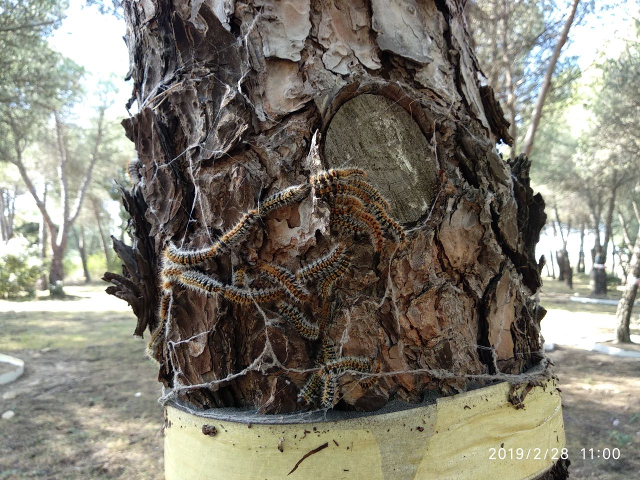 Foto cedida por Ayuntamiento de Madrid