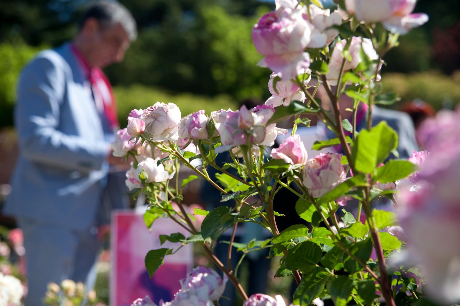 Foto cedida por Ayuntamiento de Madrid