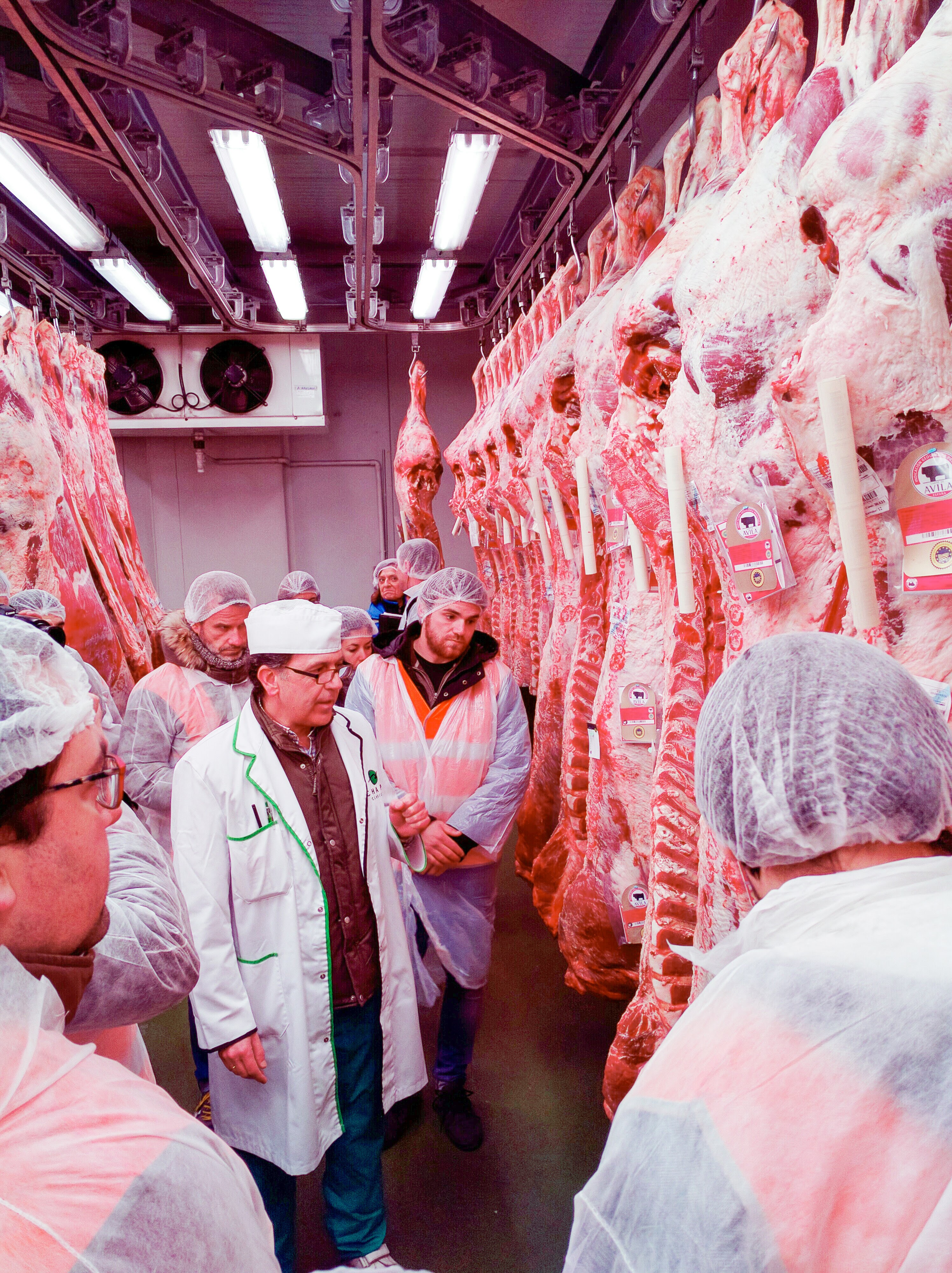 Foto cedida por Ayuntamiento de Madrid