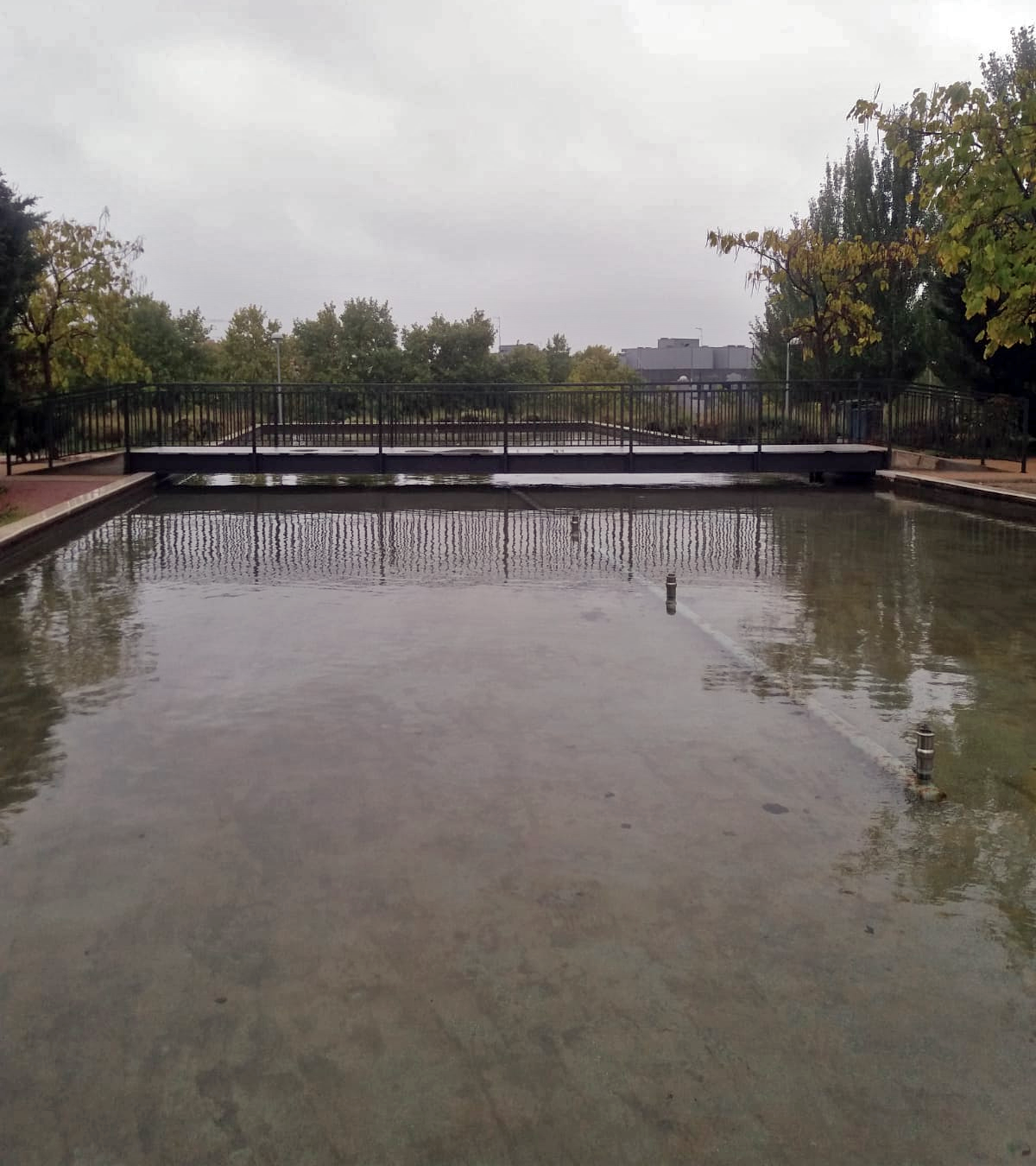 Foto cedida por Ayuntamiento de Madrid