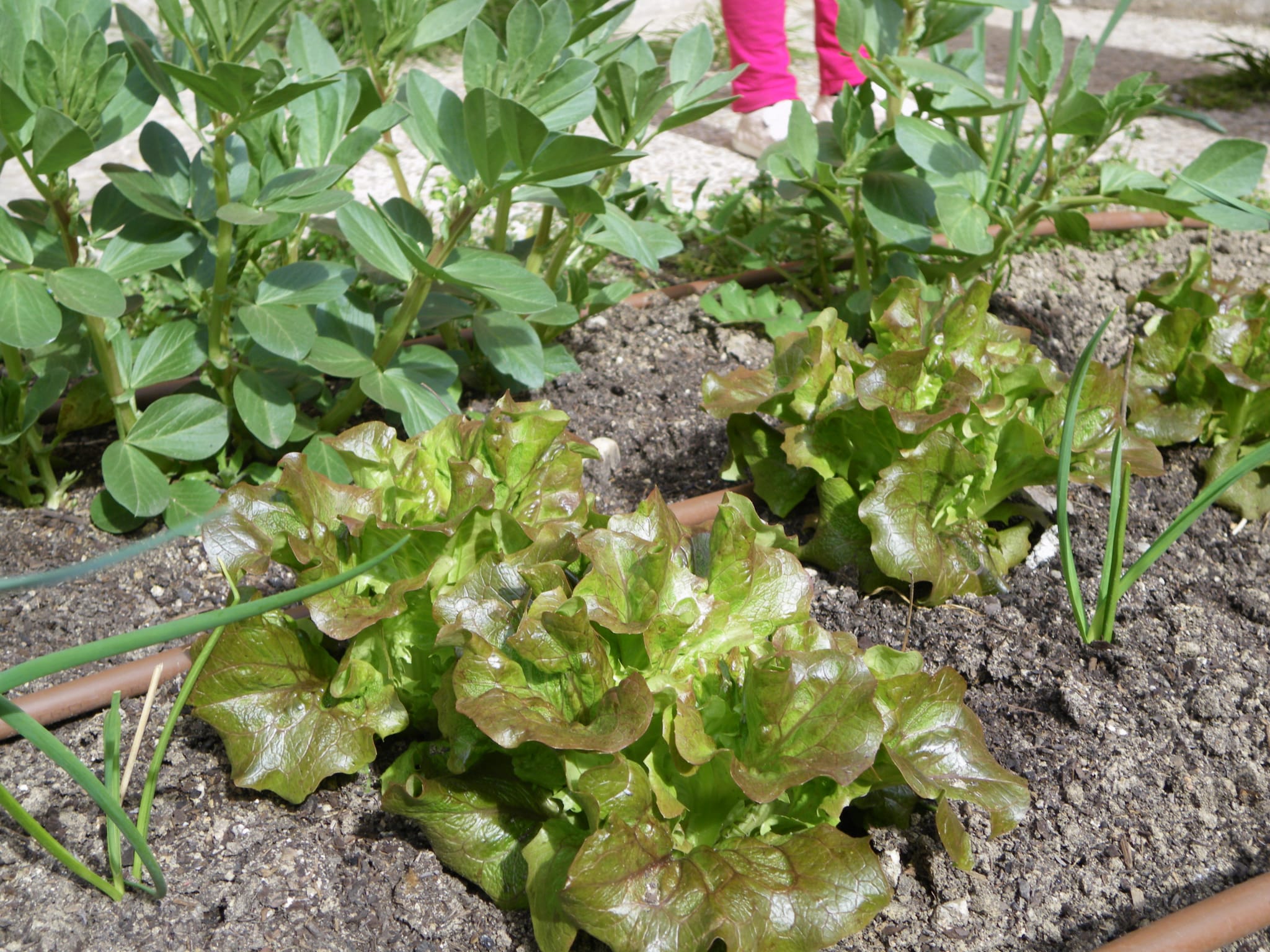 Foto cedida por Ayuntamiento de Madrid