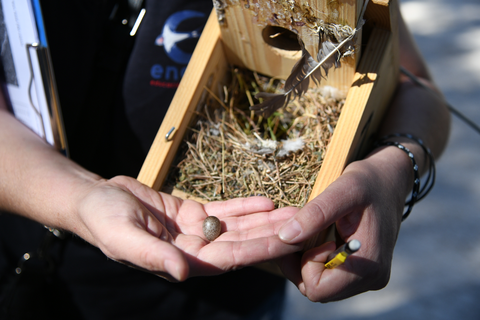 Foto cedida por Ayuntamiento de Madrid