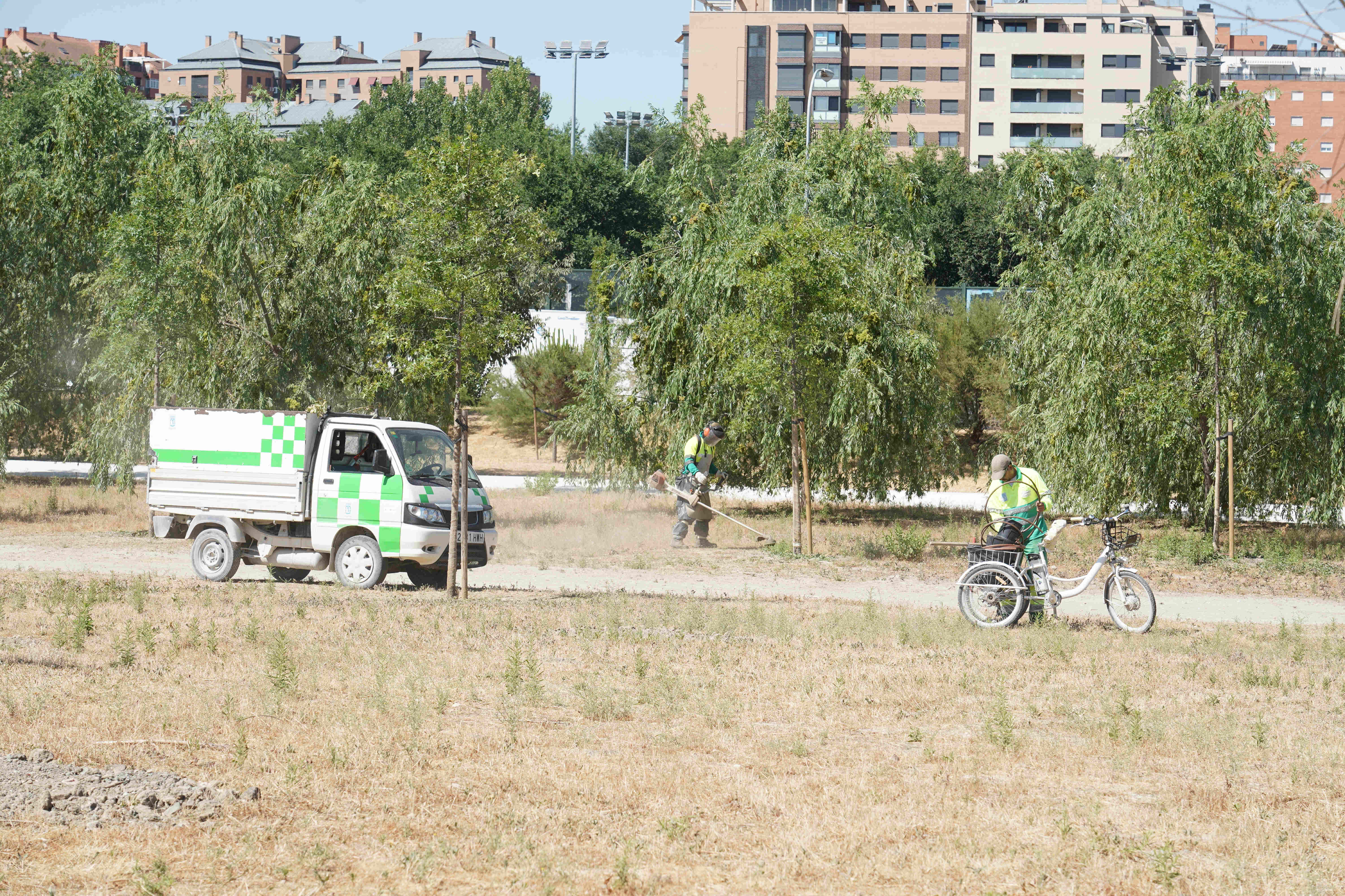 Madrid planta 90.620 árboles en la mayor campaña de plantación de su ...
