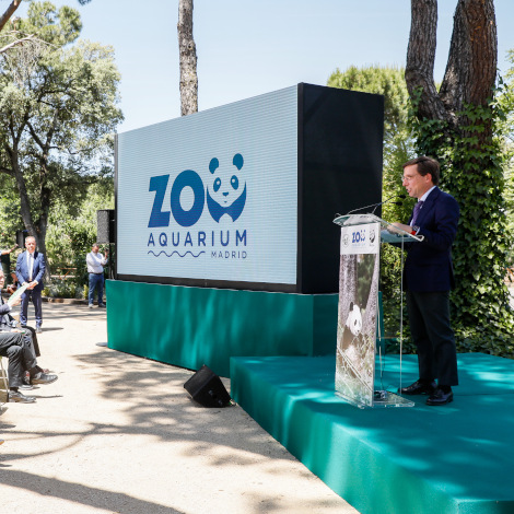 Almeida da la bienvenida a Jin Xi y Zhu Yu, la nueva pareja de pandas gigantes recién llegada al Zoo Aquarium de Madrid