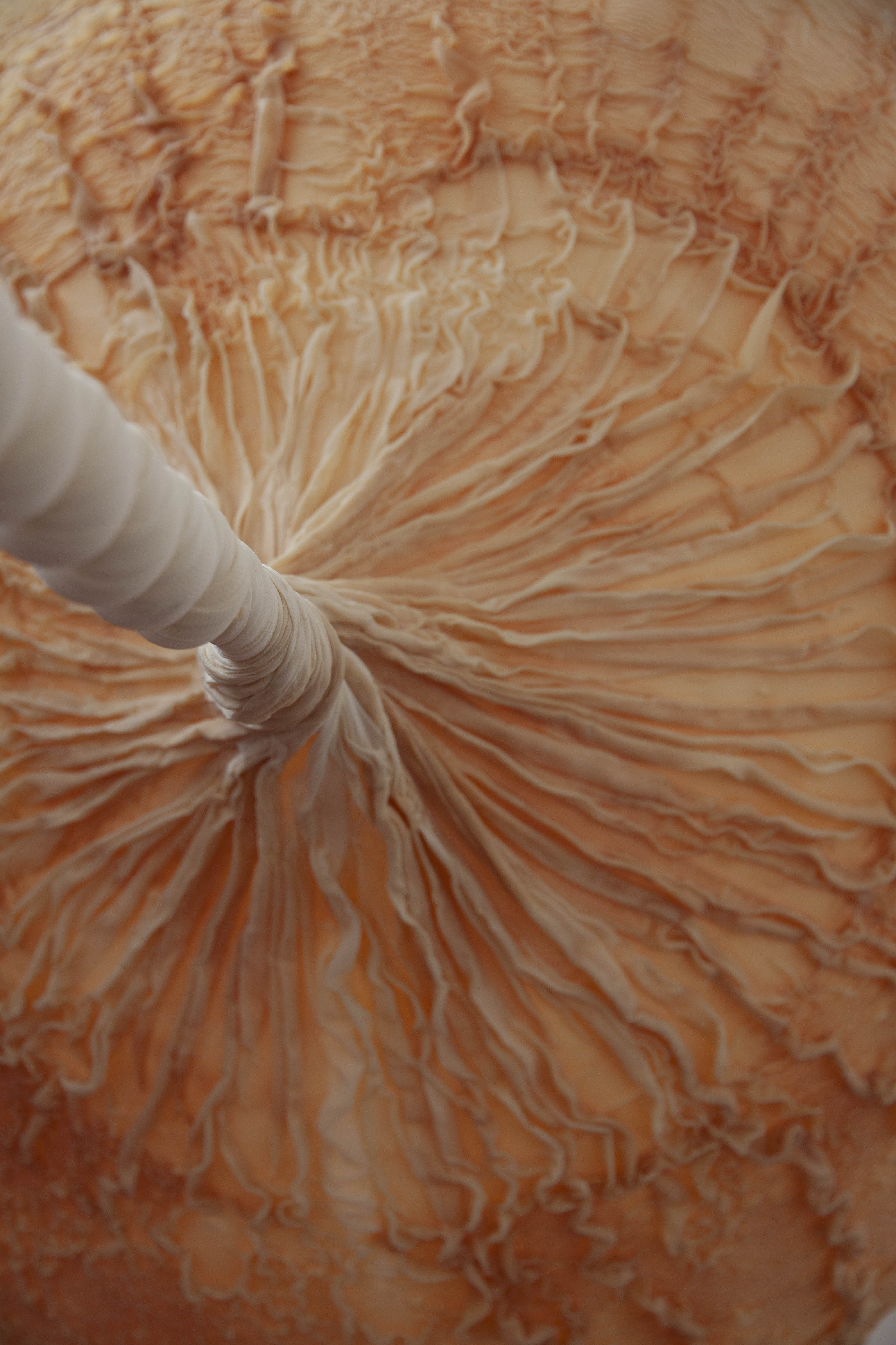 Detalle de la intervenci&oacute;n de la artista Eva F&agrave;bregas