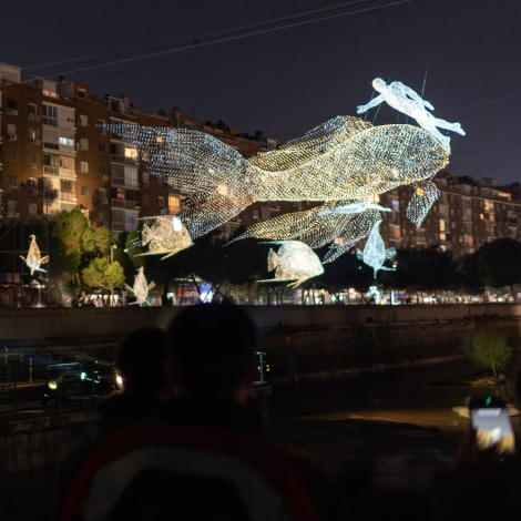 Im&aacute;genes de las instalaciones art&iacute;sticas de LuzMadrid 2026