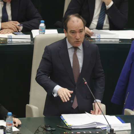 El delegado de Urbanismo, Medio Ambiente y Movilidad, Borja Carabante