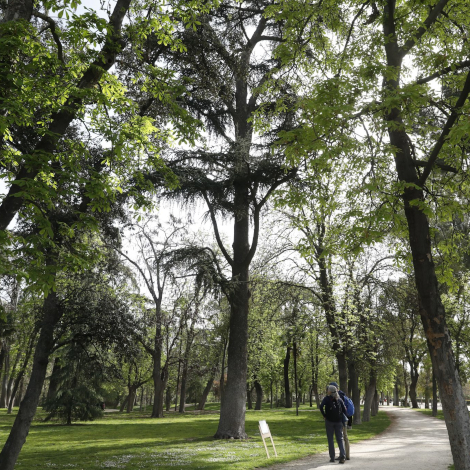 Madrid da luz verde a sus dos protocolos de parques: el del Retiro y el que regula el Juan Carlos I, Juan Pablo II y el Lineal del Manzanares 