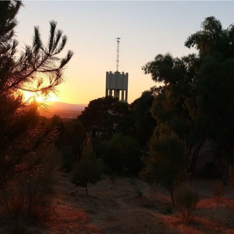 De la Dehesa de la Villa al Cerro del T&iacute;o P&iacute;o: el Ayuntamiento invita a descubrir 20 zonas verdes con la aplicaci&oacute;n Parques de Madrid